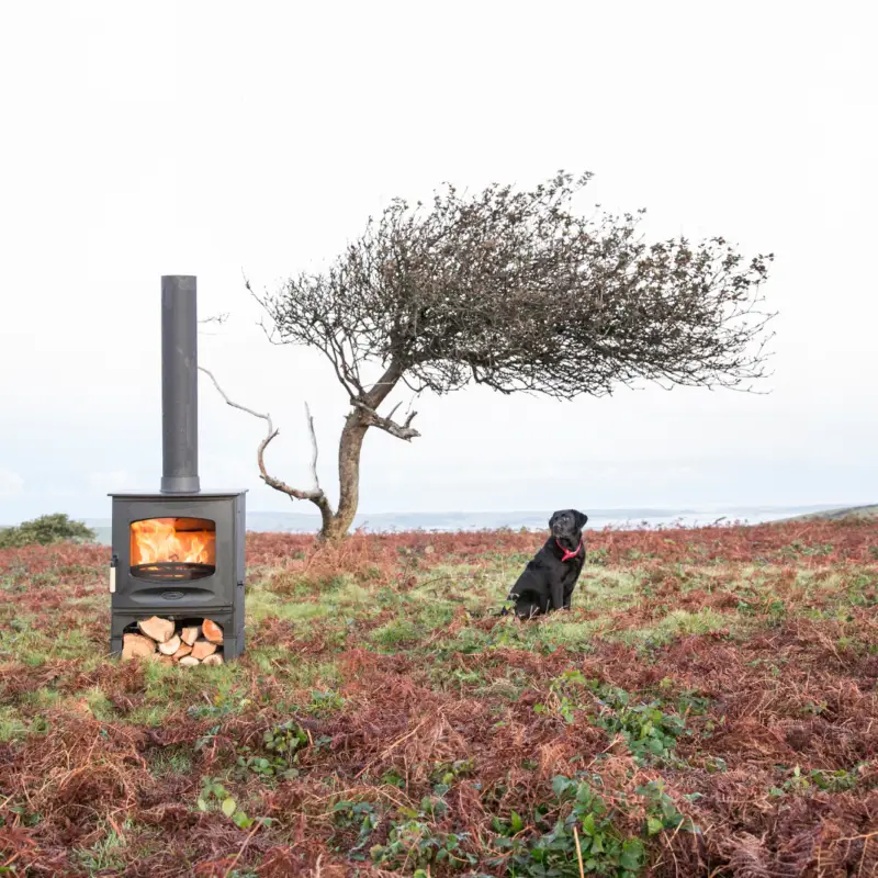 Charnwood C-Seven BLU stove