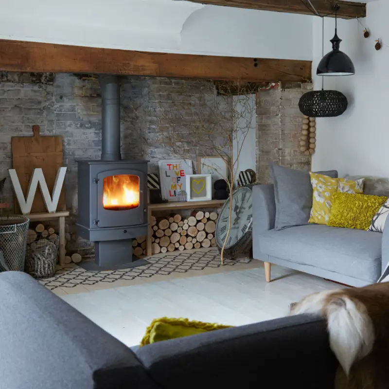 Cove Two BLU Wood Burner