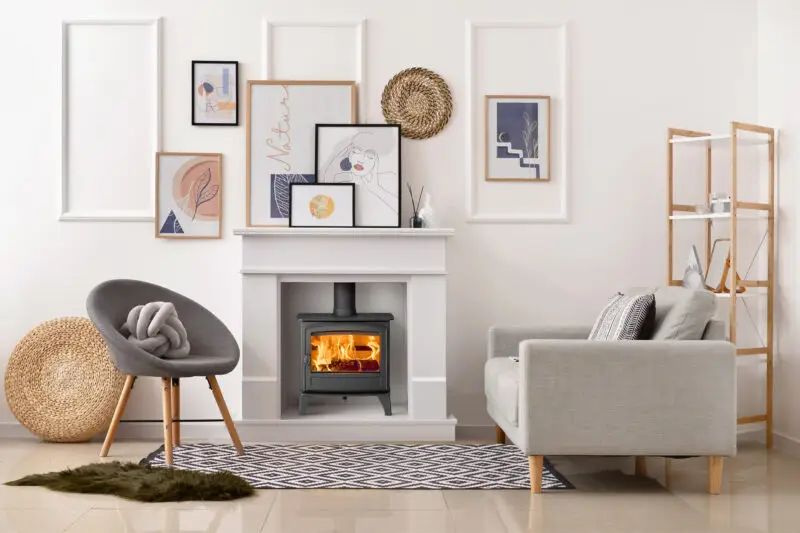 The Herald 5 Slimline Single Door Wood Burner - Image 2