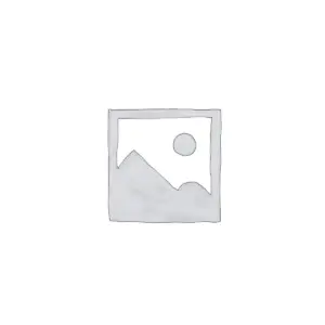 Balanced Flue Gas Stove